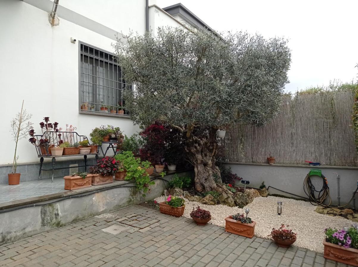 Villa Sogno Castel Fusano Buitenkant foto